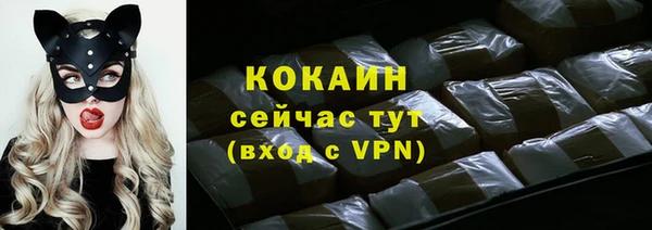амф Козельск