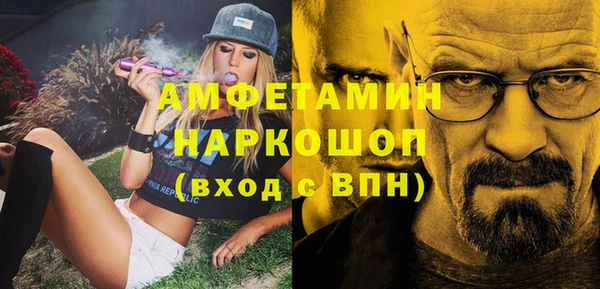 СК Алексин