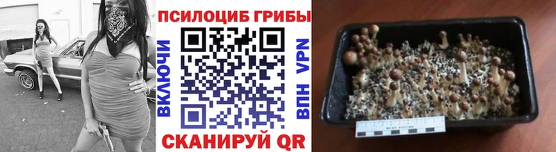 наркота  Москва  Галлюциногенные грибы ЛСД 